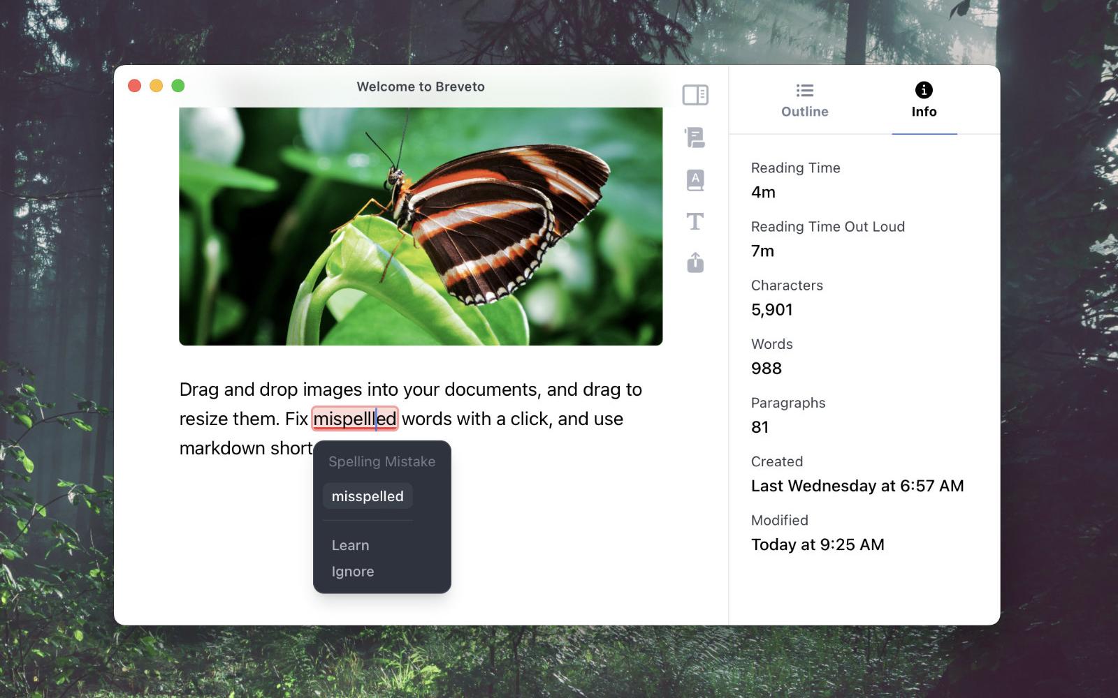 Breveto's text editor