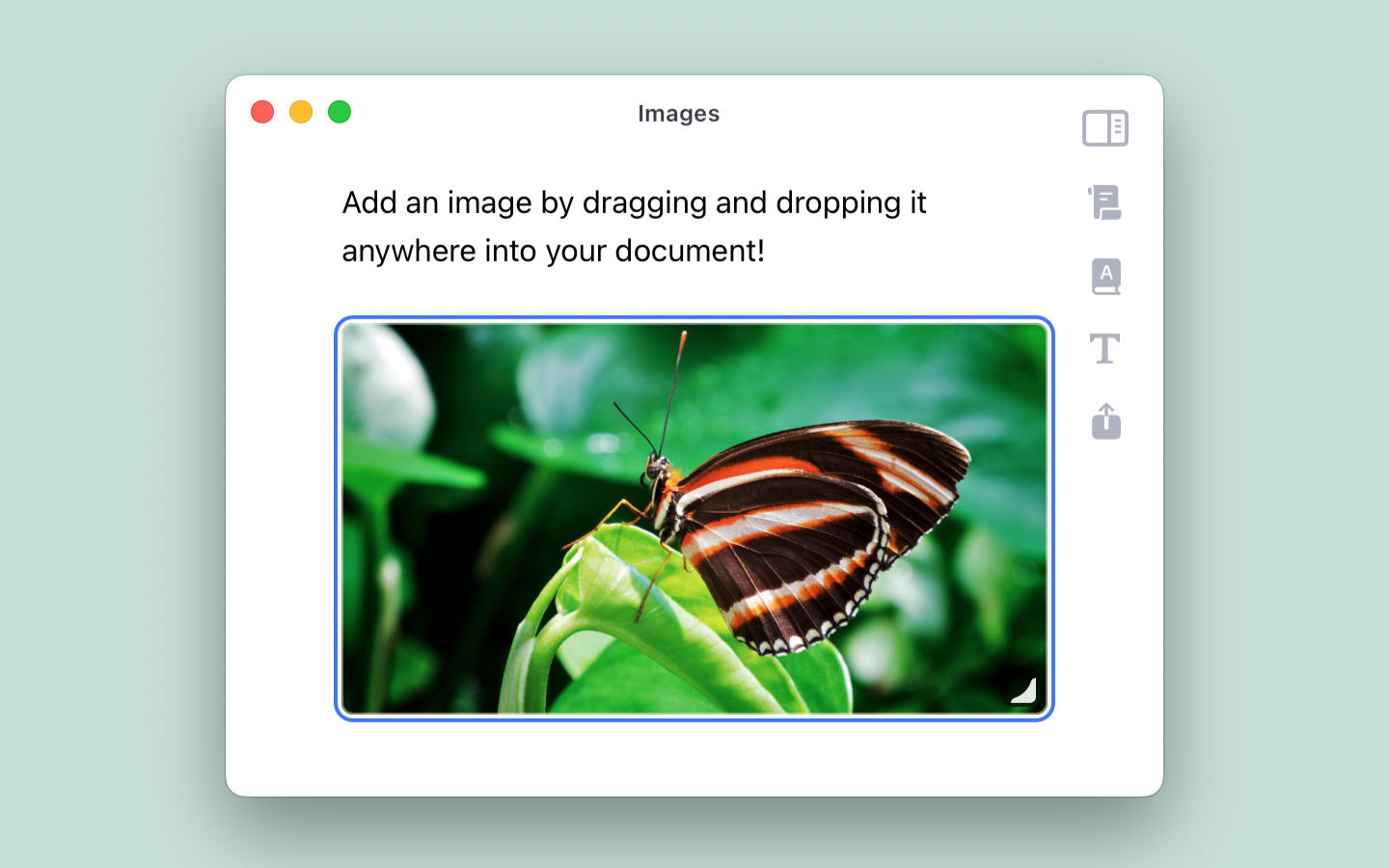 Resize an image in Breveto