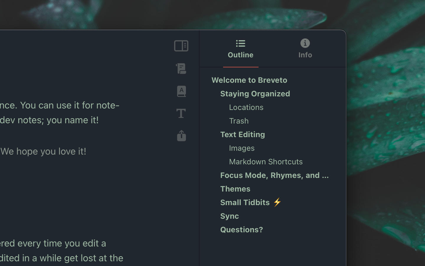 Breveto's editor sidebar outline