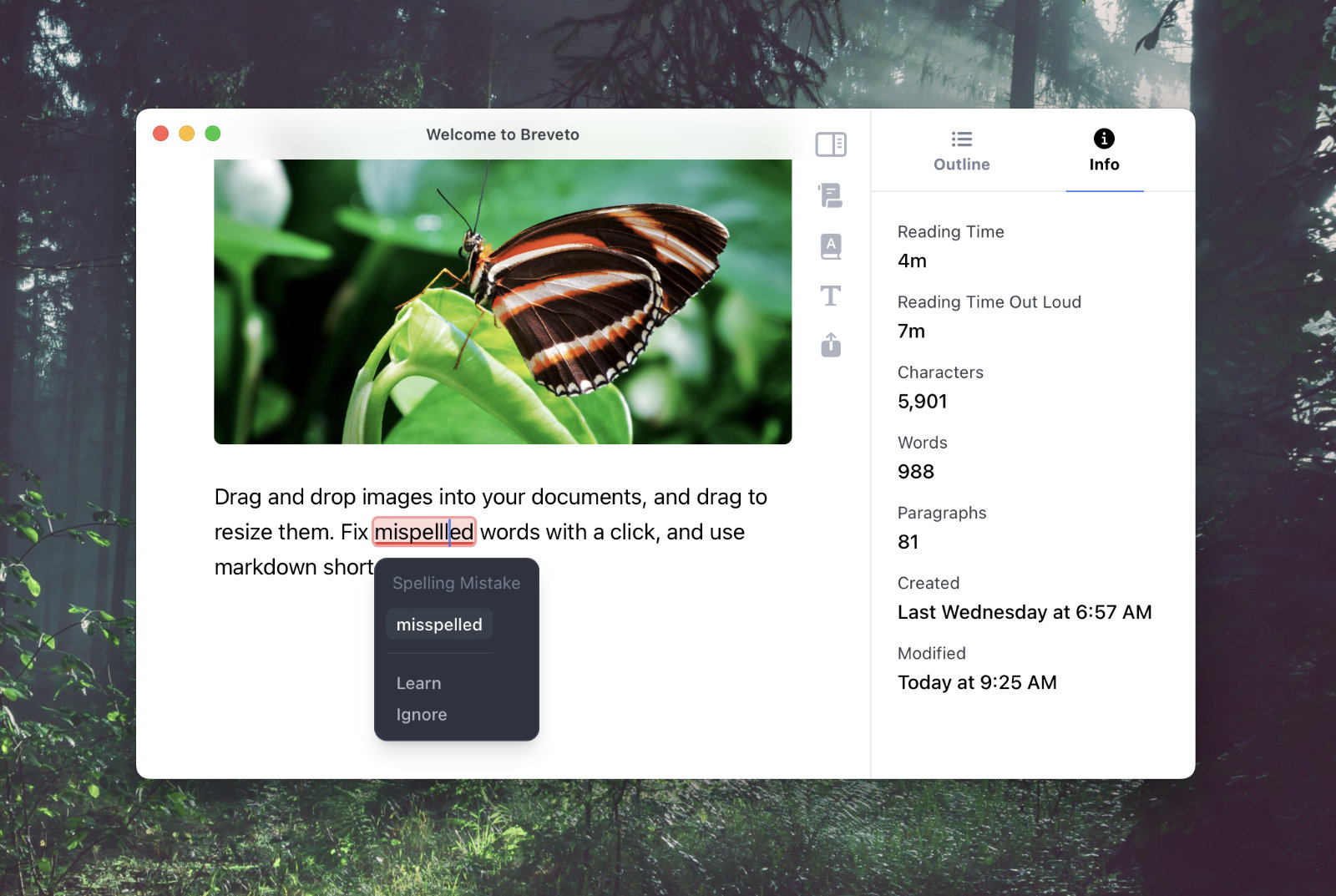 Text editor in Breveto