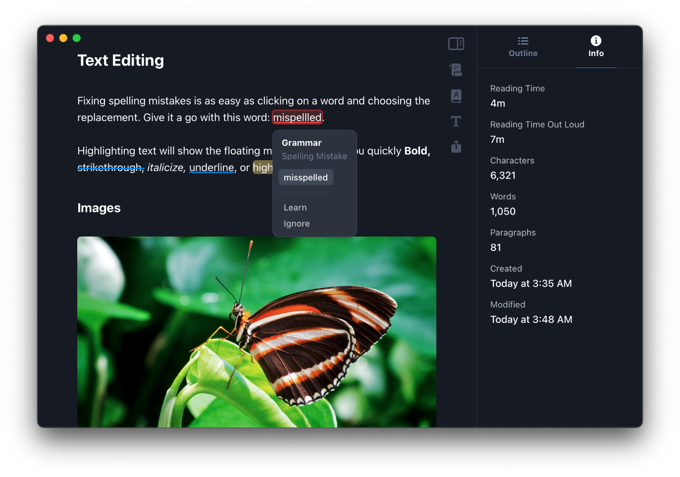 Breveto's text editor with the statistics open